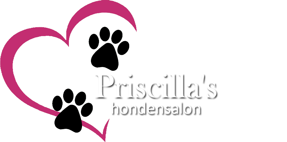 Is priscilla/s open today